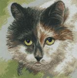 M414 Кошачий взгляд (Cat`s eyes), RTO