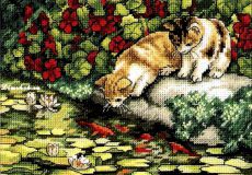 65071 Отражение котят (Kitten Reflections), Dimensions