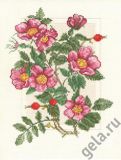 04.004.03 Шиповник, Марья Искусница