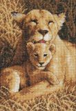 65075 Материнская гордость (A Mother's Pride), Dimensions
