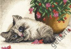 03.014.08 Наигрался, Марья Искусница