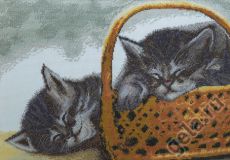 03.016.05 Сони, Марья Искусница