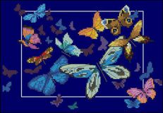 06846 Экзотические бабочки (Exotic Butterflies), Dimensions