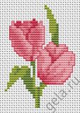 B022 Два розовых тюльпана, Luca-S