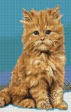 B332 Котенок, Luca-S