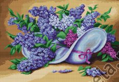 B464 Сирень, Luca-S