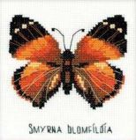 НВ094 Бабочка Нимфалида, Риолис