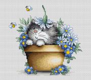 B1048 Котенок, Luca-S