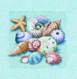 13725 Ракушки на голубом (Shells on Blue), Dimensions
