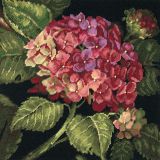 20053 Бутон гортензии (Hydrangea Bloom), Dimensions