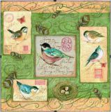 73526 Птички и завитки (Birds and Swirls), Dimensions
