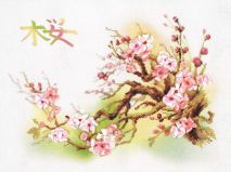 РТ-0029 Ветка сакуры, Риолис