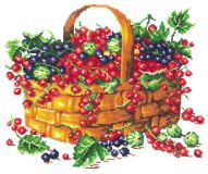 55-09 Смородина, Чудесная Игла