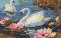 64-01 Лебединая пара, Чудесная Игла