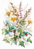 81-02 На солнечной полянке, Чудесная Игла