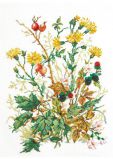 81-04 У меня в садочке, Чудесная Игла