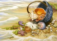 1069 Ракушки в корзине, Алмазная Мозаика