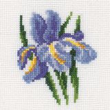 H172 Ирис (Iris), RTO