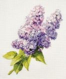 806 Ветка сирени, Овен