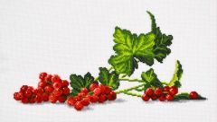 791 Ветка смородины, Овен