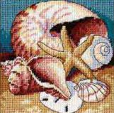 07219 Ракушки (Shell Collage), Dimensions