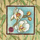 07230 Орхидеи Азии (Asian Orchids), Dimensions