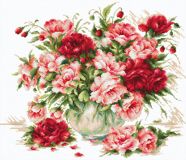 BL22888 Пионы, Luca-S