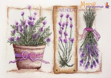11.003.04 Прованс, Марья Искусница
