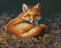 70-35318 Лиса в лучах солнца (Sunlit Fox), Dimensions