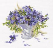 M488 Первоцветы (Primroses), RTO