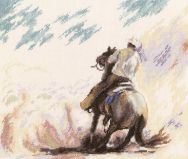 M490 Пыль прерий (Dust prairie), RTO