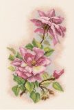 M524 Шелковые розы (Silk roses), RTO