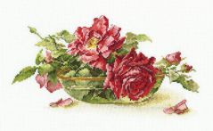 M525 Розы в пиале (Roses in piala), RTO