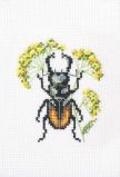 EH366 Жук на володушке (Bug on hair's ear), RTO