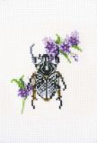 EH367 Жук на медунице (Bug on lungwort), RTO