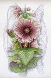 PN-0008220 Бристовый Холлихок (Bristly Hollyhock), Lanarte