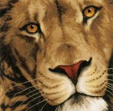 PN-0154980 Царь зверей (King of animals), Lanarte