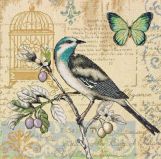 70-35290 Изучение природы (Nature Study), Dimensions